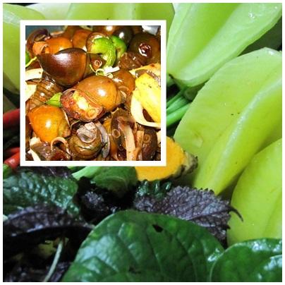 Bí quyết nấu món Khế chua nấu với ốc nhồi 1057 03 Bí quyết nấu món Khế chua nấu với ốc nhồi